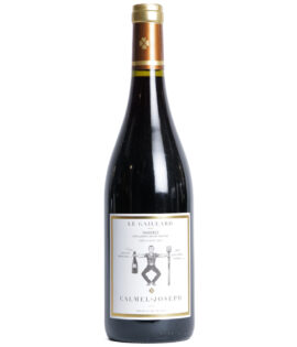 FAUGERES LE GAILLARD